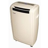 12000 BTU Portable AC