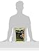 Higgins Intune Natural Hand Feeding Baby Bird Food, 5 Lb