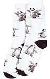 Dancing Penguin Socks