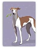 Paper Russells PAPRG582B Grrreen Greeting Card, 4.5x6.5 Inch - Italican Greyhound - Blank