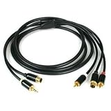 10FT S-VID/3.5MM Phono To