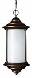 Hanna Metro Bronze Outdoor Pendant (Dark Sky & Energy Saving Solutions) Hinkley (2
