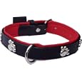 Designer dog collar