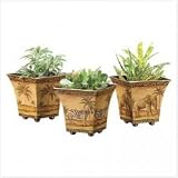 Safari Pots