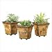 Safari Pots