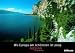 airfares-hotels-travel.com.com - books