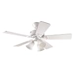 Hunter ceiling fans