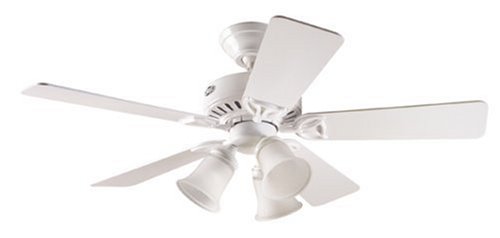 Hunter 20436 Beacon Hill Three-Light 42-Inch Five-Blade Ceiling Fan, White with Frosted Globes
