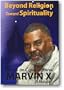 Beyond Religion Toward Spirituality, Essays on Consciousness