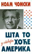 Sta to u stvari hoce Amerika