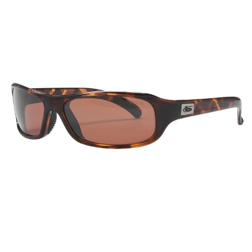 review Bolle