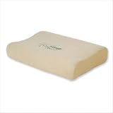 EcoTex Contour Pillow Size: Small Review