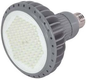 KolourOne S8867 10-Watt LED PAR38 Lamp, White