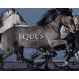 Equus