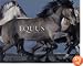 Equus