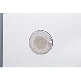 Putco Ford F-150 Chrome Fuel Tank Door Cover