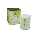 Thymes Frasier Fir Aromatic Votive Candle - 2.25 oz