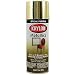 Tools & Hardware : Krylon Spray Paint, Bright Gold 12 oz