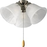 Progress Lighting Fan Glass Filter and Light Kit P2642-09 Brushed Nickel