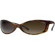 Arnette AN 250-03/83 Havana SWINGER Sunglasses with Polarized Brown Lenses
