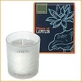 Bloom of LOTUS �t���O�����X�L�����h���@�t�H���X�g�p�C�� 150g