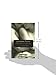 Passionate Hearts: The Poetry of Sexual Love
