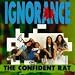 Confident Rat