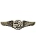 Steampunk Gears and Wings Pin (Standard)
