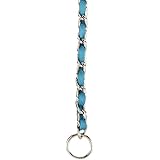 Guardian Gear 20-Inch Steel Dog Choke Chain with Nylon Webbing, Bluebird
