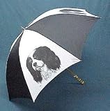 Cav. King Charles Spaniel Umbrella by Porcelain by Rosalinde (60' Arc)