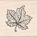 MAPLE LEAF Wood Mounted Rubber Stamp InkaDinkaDo