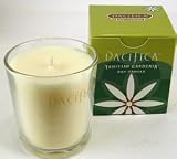 Pacifica Tahitian Gardenia 5.5oz Boxed Candle
