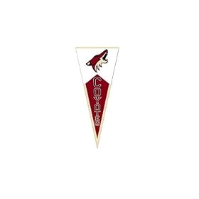 Winning Streak Sports Phoenix Coyotes Team Pennant