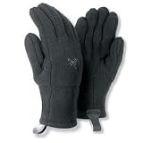 Arc'teryx Delta SV Glove - Unisex