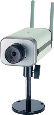 Dual codec  MJPEG MPEG4 Network Camera with 2 Way Audio and Wireless 802.11g Support