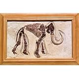 Wooly Mammoth Excavation Kit