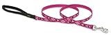 Lupine 1/2" Puppy Love 4-Foot Dog Lead