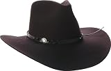 Bailey Western Tucson Hat