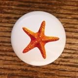 SEASHELLS SEA SHELL STARFISH #02 DRAWER PULLS KNOBS