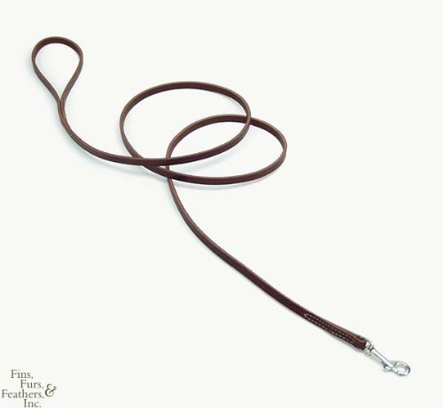 Coastal Pet Circle T Latigo Leather Twist Dog Leash Training Lead (6 ft. x 1 Inch W)
