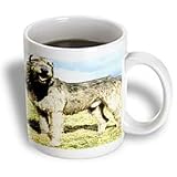 Dogs Irish Wolfhound - Irish Wolfhound - Mugs