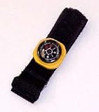 Wrist Compass