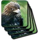 Birds - Golden Eagle - Coasters