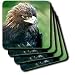Birds - Golden Eagle - Coasters