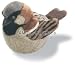 Search : Wildlife / Domestic Animals : House Sparrow Bird with Sound 6