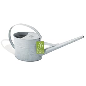 Indoor Metal Watering Can