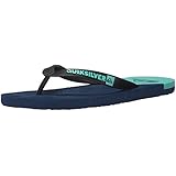 Quiksilver Men's Molokai New Wave 3-Point Flip-Flop