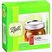 Ball� Regular Mouth 12 Lids (by Jarden Home Brands)