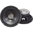 PYLE PPA-8 Professional Premium Pa Woofer