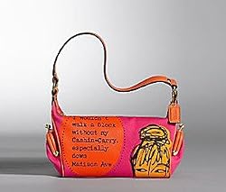 Coach Bonnie Applique Top Handle Pouch Handbag Bag Orange